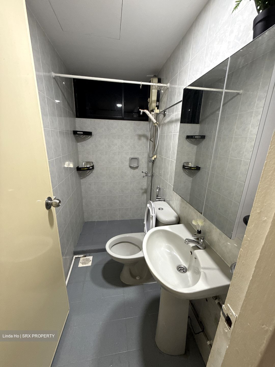 Pandan Valley (D21), Condominium #469654211